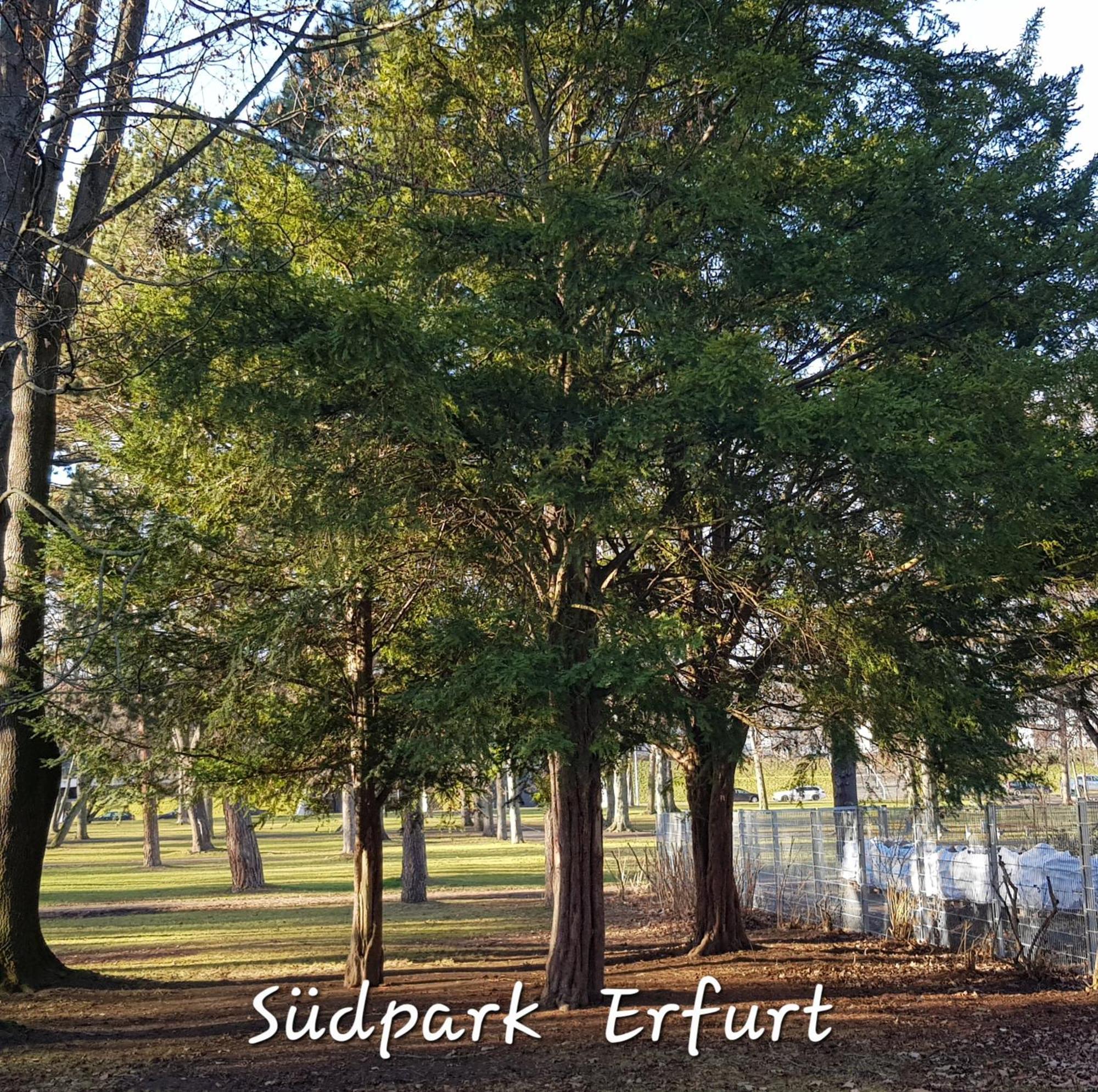 Am Südpark